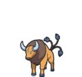 raging bull pokemon|pokemon tauros attacks.